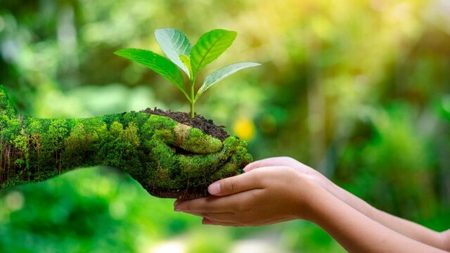 Carta mundial de la naturaleza