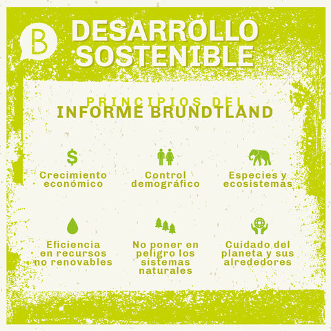 Informe Brundtland.