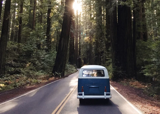 Fitzgerald moved back