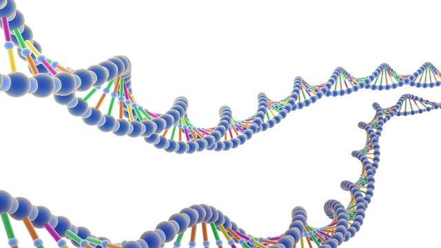 Desarrollo de la genética y descubrimiento estructura del ADN