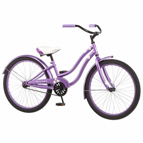 I learned bikes have chains.