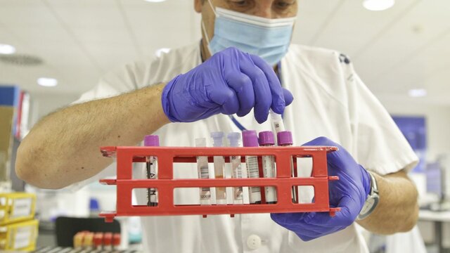 Escalada de las nuevas cepas