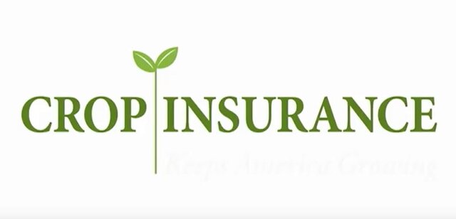 Federal Crop Insurance and 1938 Farm Bill