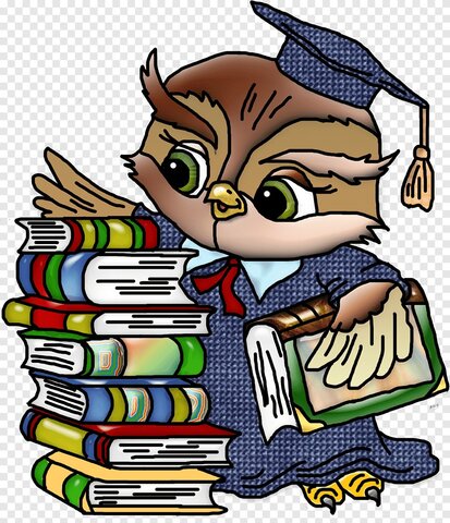 MOVIMIENTO SOCIAL COMO PRINCIPIO EDUCATIVO