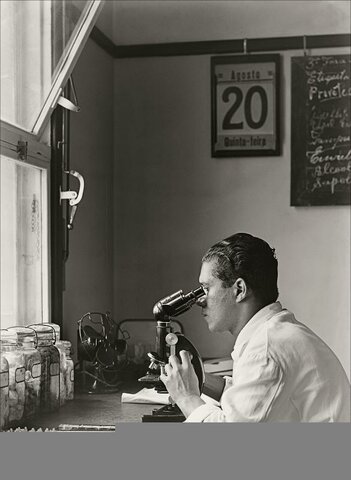 Serviço Nacional de Febre Amarela