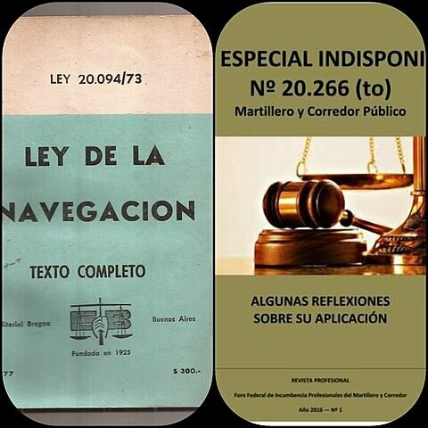 Reforma del Código de Comercio - Se sanciona la Ley 20.094 y ley 20266