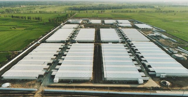 Mega Granja de la ciudad de Mudanjiang (China).