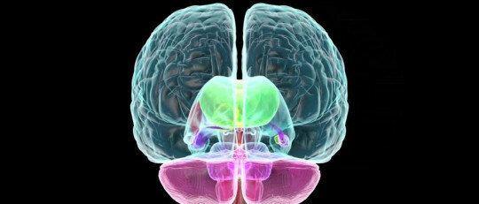 Emotional Memory Systems in the Brain