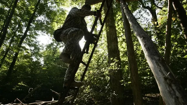 Falling out of a treestand