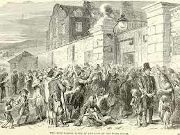 Potato Famine