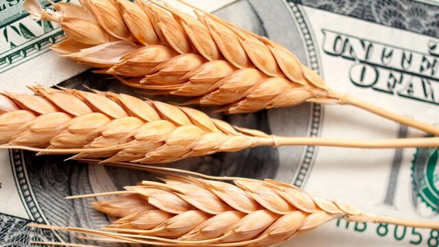 Freedom To Farm Act of 1996