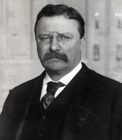 Theodore Roosevelt is Elected