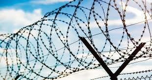 Barbed Wire