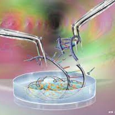 Timeline: Bioteknologi