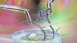 Timeline: Bioteknologi