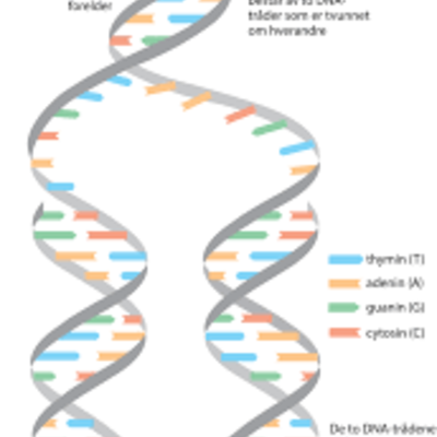 Timeline: Bioteknologi