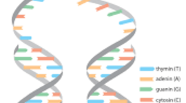 Timeline: Bioteknologi