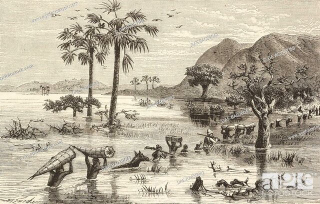 Stanley's expedition