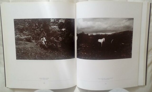 imágenes cotidianas