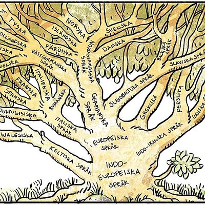 Timeline: svenska språkhistoria