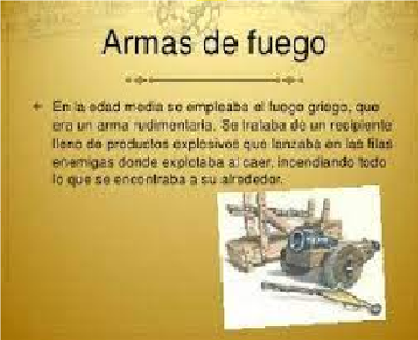 ARMAS  DE FUEGO Y POLVORA