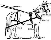 Collars de cavall