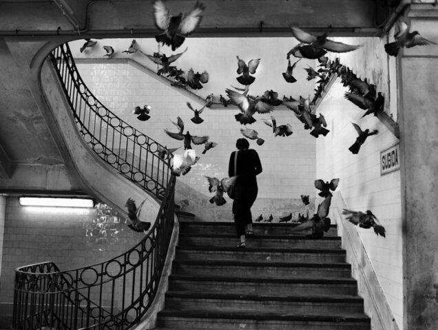 Capturar el momento - Cartier-Bresson, Henry (1908 - 2004)