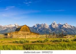 The Capital Building