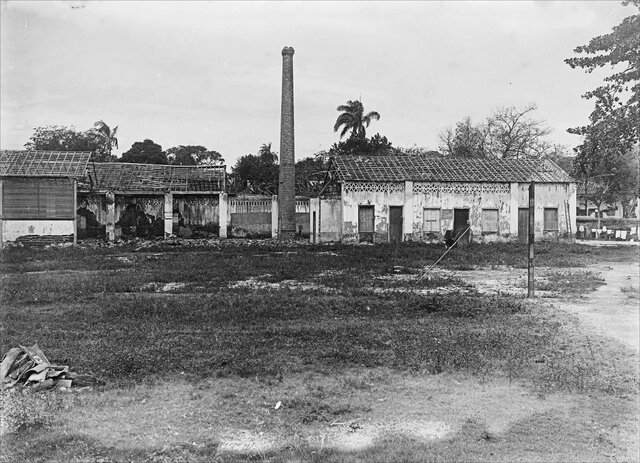Criação do Instituto Soroterápico Federal