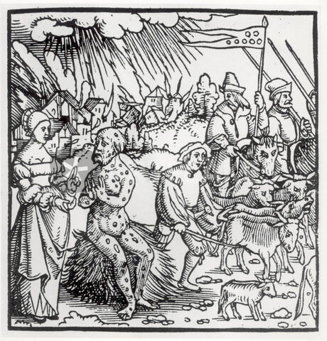 English replaces Latin as the language of instruction in most schools