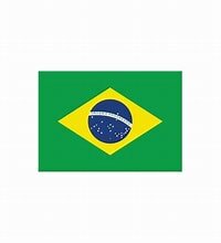 1º caso confirmado COVID 19 Brasil (Brasil)