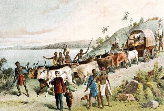 Livingstone's expedition