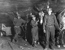 Working in the Coal Mines