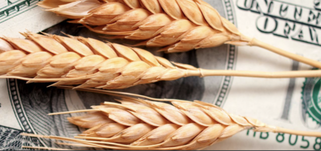 Freedom to Farm Act