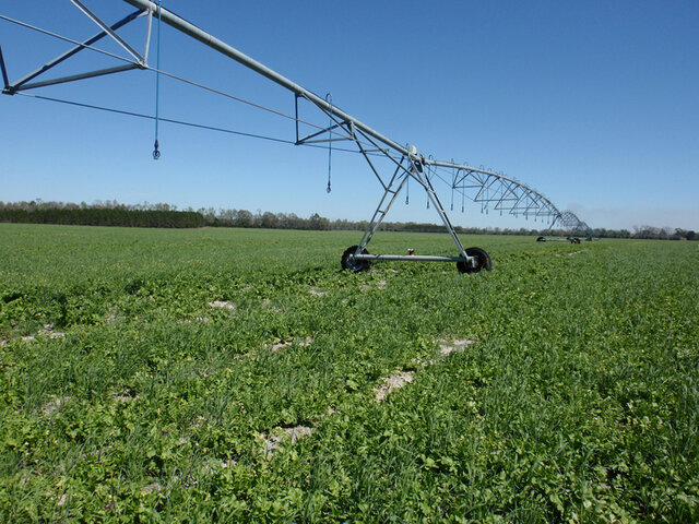 Farm Security Act of 2002