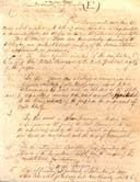 To keep the peace the texans wrote a series of statements called the turtle bayue