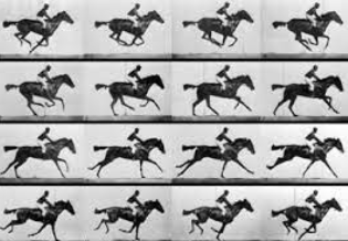 Secuencia del caballo a galope E. Muybridge