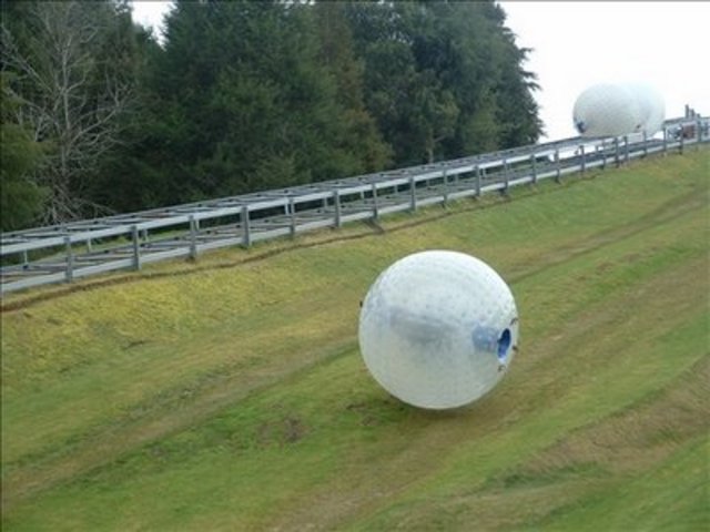zorb
