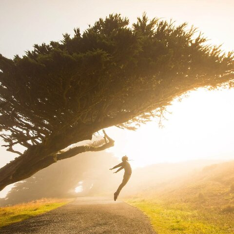 La felicidad y el sentido de la vida II