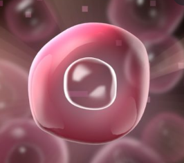 Primeras celulas eucariotas