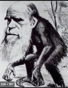 Evolucion de Darwin