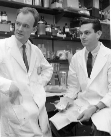 Marshall Warren Nirenberg y Johann Heinrich Matthaei- Código genético.