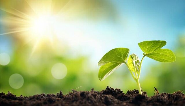 SI inizia a parlare dell'ambiente