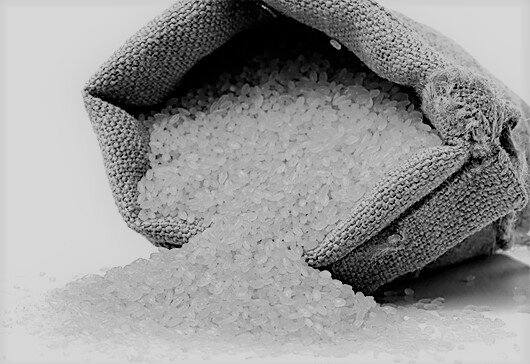 Ingo Potrykus y Meter Beber -Arroz dorado.