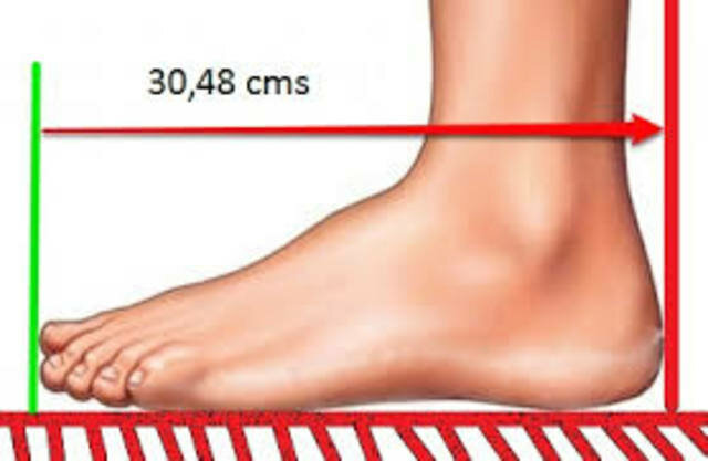 Longitud del pie del regente