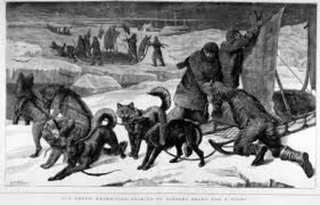 Bartlett and the Dogs