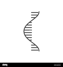 Grupo de investigadores