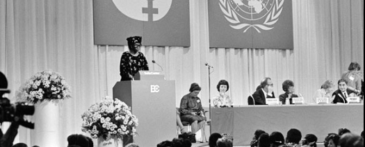 DECLARACIÓN DEL AÑO DE LA MUJER