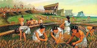 Periodo Agrícola 7000-3000ac