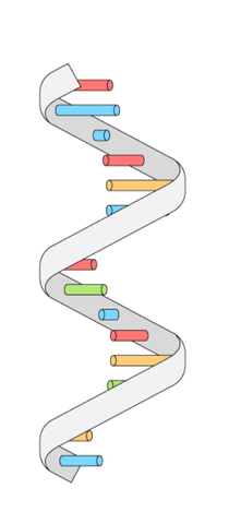 "ARN de Interferencia" -Andrew Fire y Craig Mello
